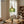 Aster Modern Ribbed Glass Pendant Light for Kitchen Island & Dining