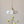 Colette Modern Glass Pendant Light for Kitchen Island & Dining Room