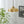 Colette Modern Glass Pendant Light for Kitchen Island & Dining Room