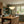 Avielle Pendant Light