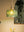 Aster Modern Ribbed Glass Pendant Light for Kitchen Island & Dining