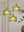 Aster Modern Ribbed Glass Pendant Light for Kitchen Island & Dining